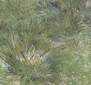 Vincent Van Gogh Clumps of Grass (nn04) oil on canvas